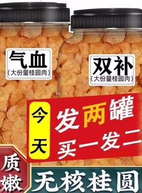2025新货高州特优9A级无核桂圆肉桂圆干龙眼元肉气血泡水泡茶500g