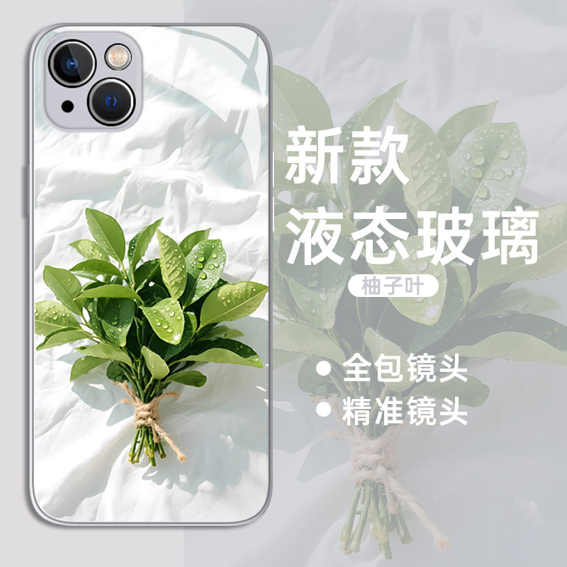 柚子叶适用苹果17pro手机