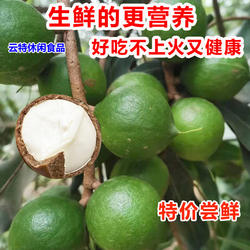 【坏1赔3】云南新鲜夏威夷果原味生果澳洲坚果无添加孕妇老人可食