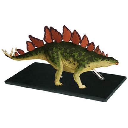 4D MASTER 恐龙剑龙器官解剖模型益智拼装儿童玩具摆件仿真动物