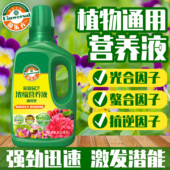 通用型植物营养液液体肥花肥月季 花卉多肉绿植水培盆栽养花专用肥