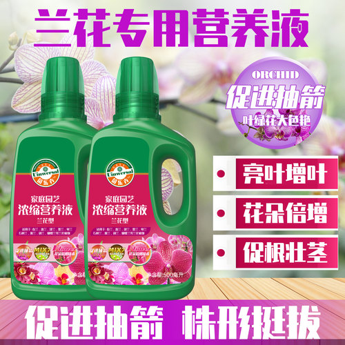 兰科兰花墨兰蝴蝶兰石斛兰营养液