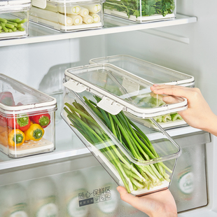 小葱香菜保鲜盒冰箱收纳盒食品级姜蒜挂面条蔬菜整理储物专用神器