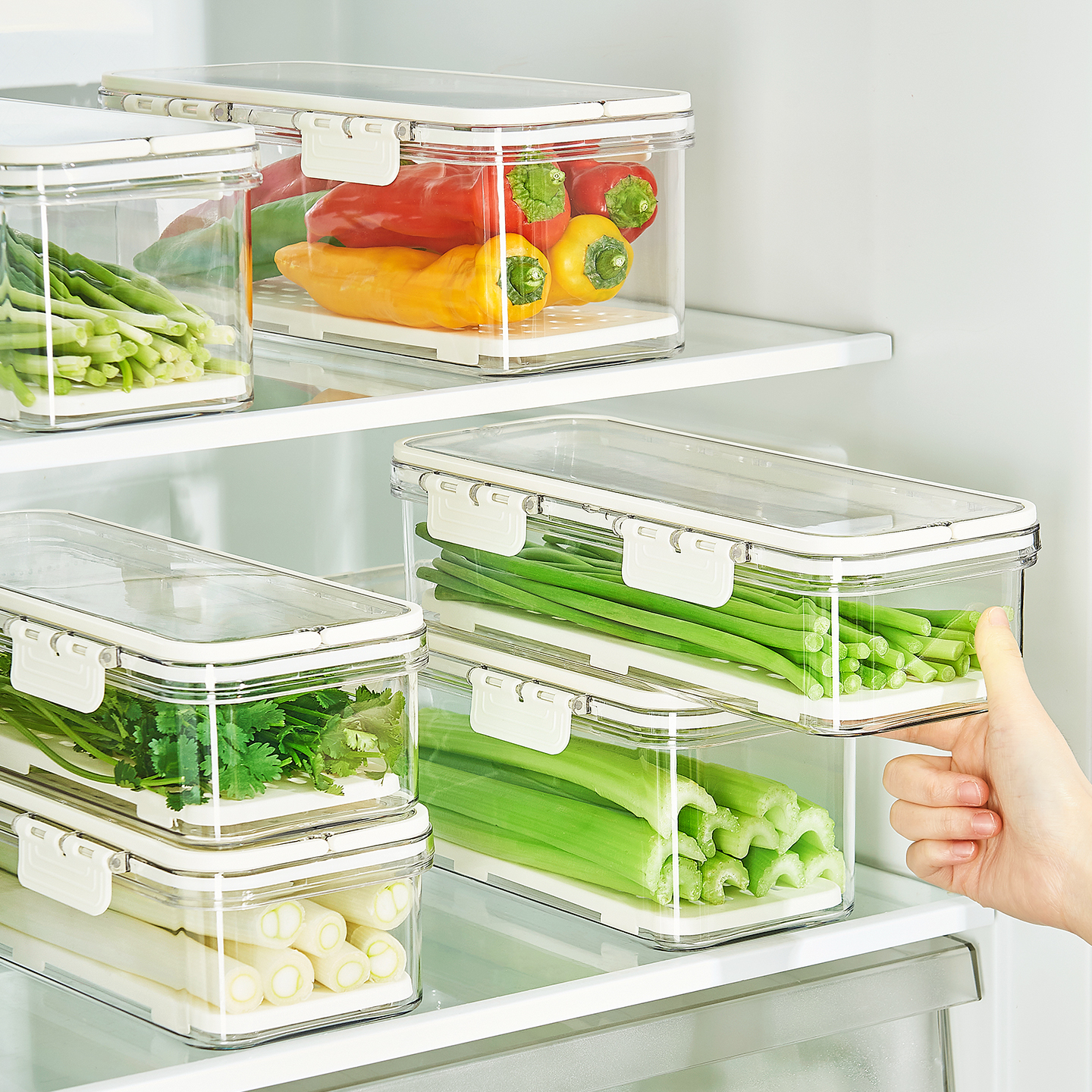 【密封保鲜】冰箱小葱香菜收纳盒