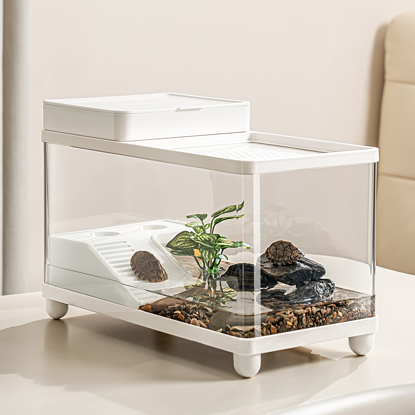 乌龟饲养缸生态造景家用小型