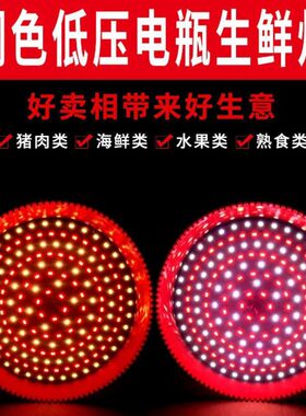 led低压生鲜灯 水果猪肉灯海鲜熟食生鲜灯 12-85V电瓶地摊夜市灯