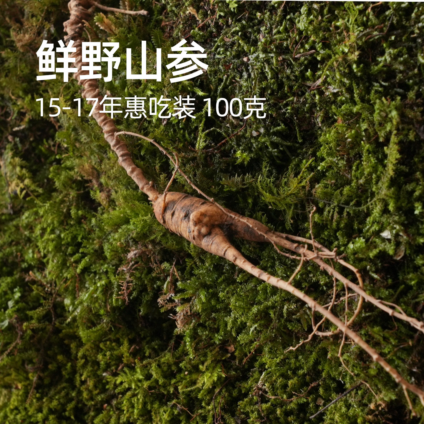 宜样长白山鲜野山参15-17年惠吃装 100克  清洗/不清洗