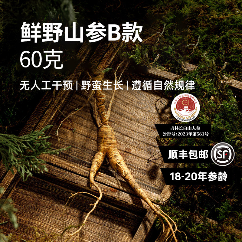宜样新鲜野山参60g长白山林下参