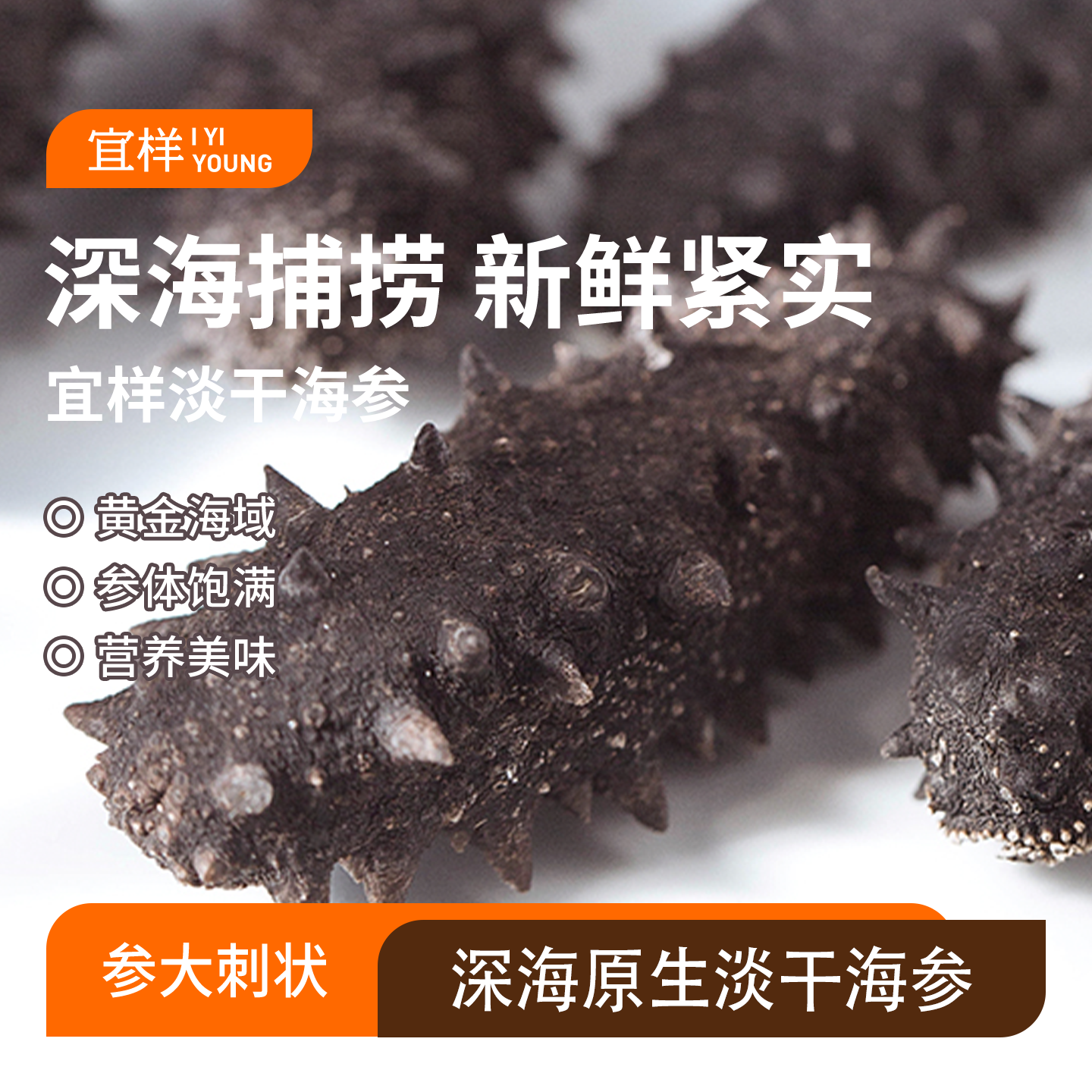 宜样海参干货5年山东特产底播