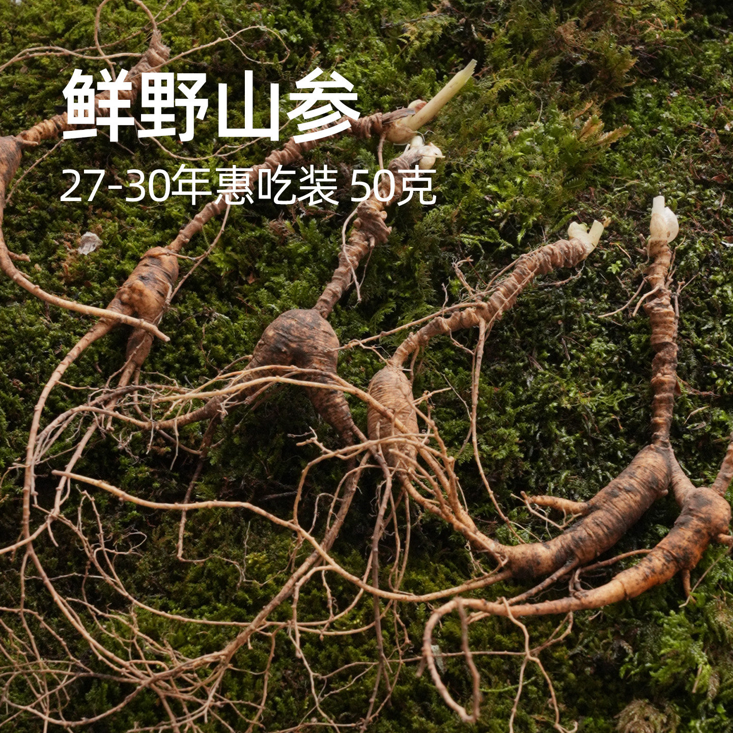 宜样长白山鲜野山参27-30年惠吃装 50克 清洗/不清洗