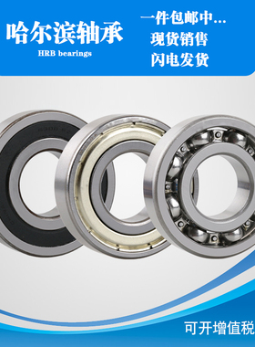 哈尔滨轴承6008 6009 6010 6011 6012 6013 6014 6015N ZZ 2RS C3
