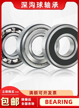 日本进口轴承16000 16001 16002 16003 16004 16005 16006 2RS ZZ