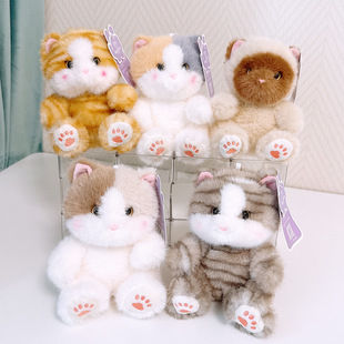 象皮兔坐款猫咪掌中宝公仔布偶猫暹罗猫橘猫玩偶坐姿小猫毛绒玩具