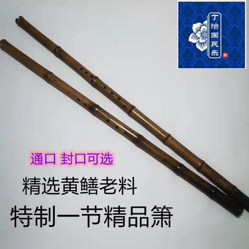 丁治国特级一节洞箫易吹