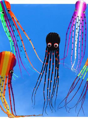 红阳3D立体高档大型成人软体风筝八爪章鱼筒无骨架便携8 10米15米