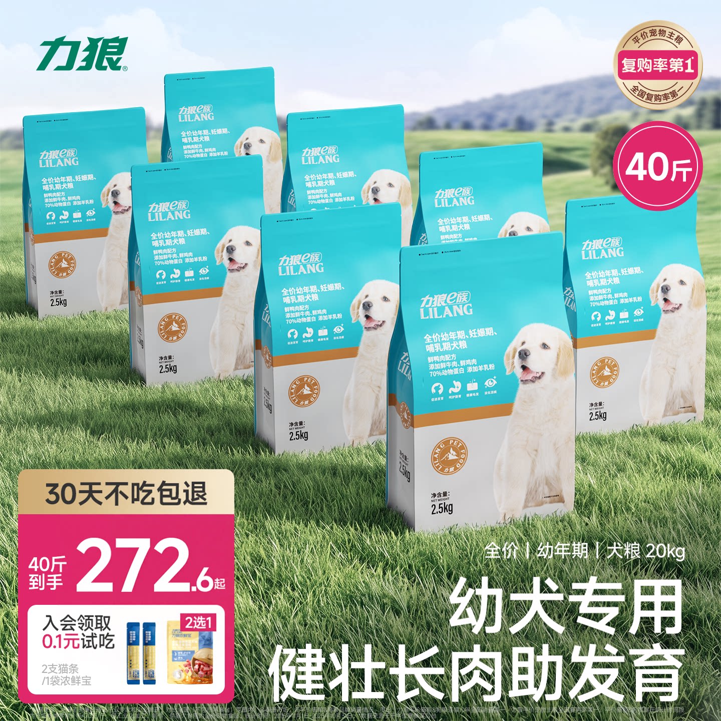 力狼专用毛拉泰迪柯基斤装幼犬图片