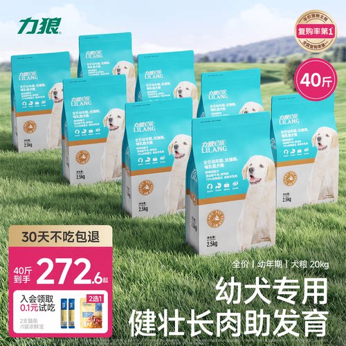 力狼专用毛拉泰迪柯基斤装幼犬