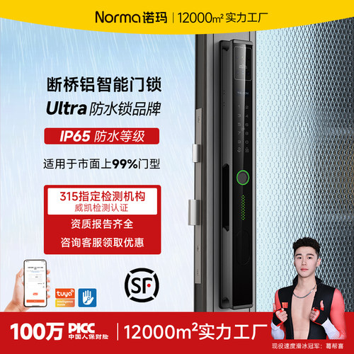 断桥铝智能密码门锁人脸识别门锁