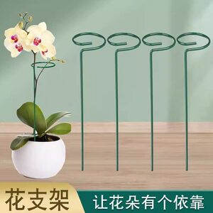 植物防倒伏支架铁艺绣球