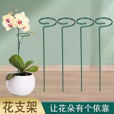 植物防倒伏支架铁艺绣球