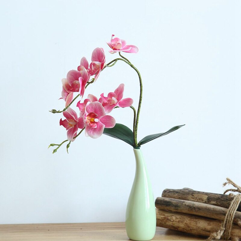 仿真花蝴蝶兰pu手感过胶单支干花饰假花客厅餐桌摆设摆放兰花