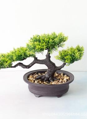 Welcome pine bonsai decoration simulation plant bonsai home