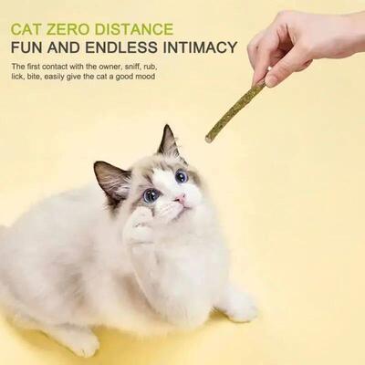 6pcs Natural Matatabi Cat Stick Mint Caught Bite Excited Rod