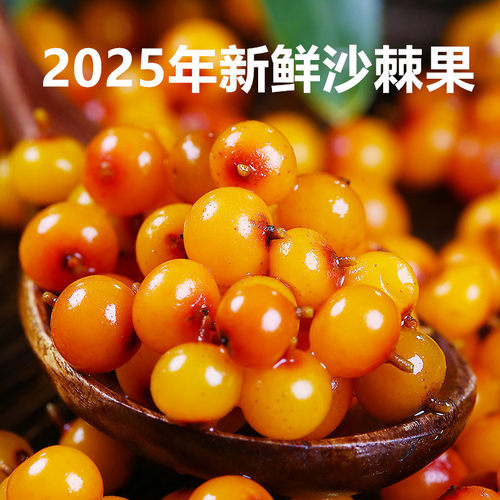 穆芝堂野生新鲜沙棘果2斤