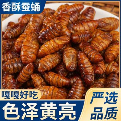 即食蚕蛹商用烧烤下酒菜品山东农家新鲜桑蚕蛹小吃多种口味零食