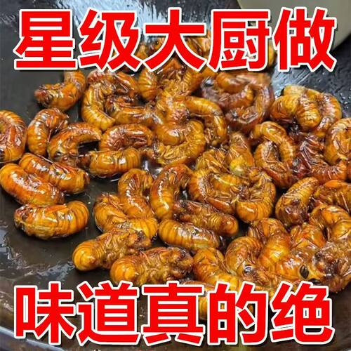 26年新鲜金蝉油炸即食辣孜然蝉蛹唐僧肉知了猴昆虫零食爬叉结了龟