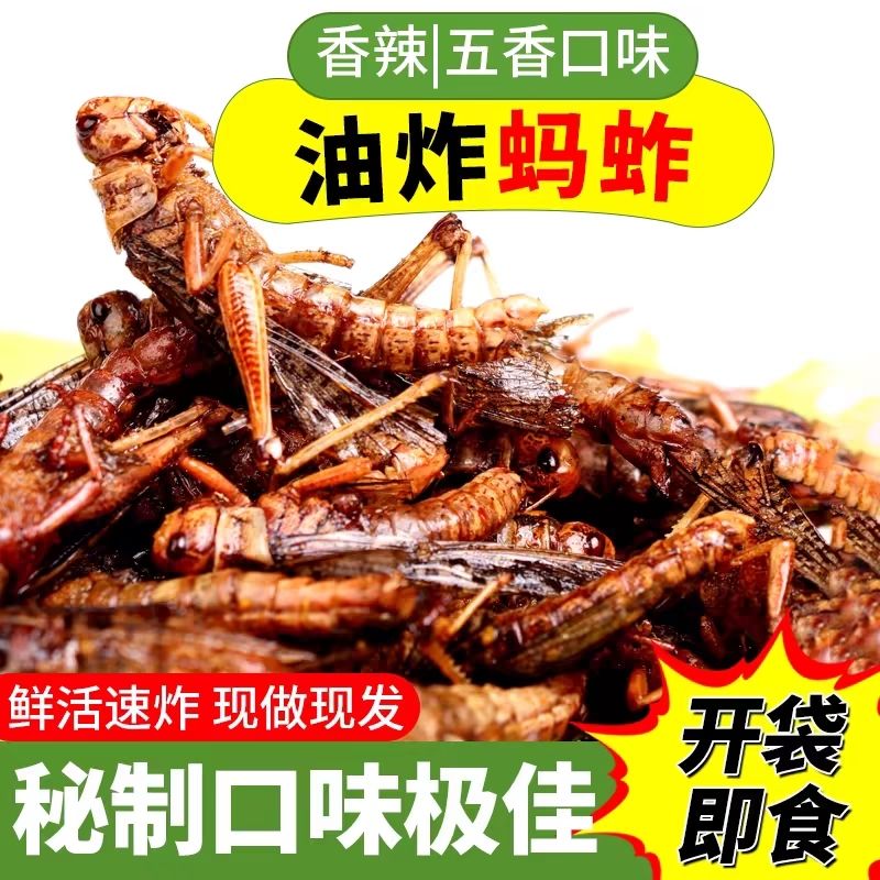 油炸大蚂蚱山东特产即食新鲜蚂蚱蚱蜢五香香辣昆虫零食小吃下酒菜