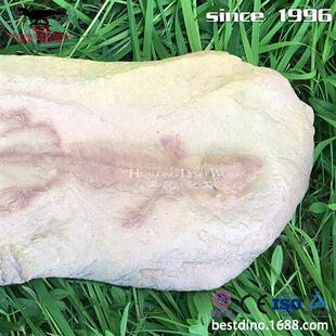 天然树脂制作恐龙化石骨架仿真动物海洋生物博物馆公园摆件.