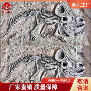 原角翼龙肿头龙迅猛龙化石块儿童沙坑考古发掘仿真恐龙玻璃钢化石