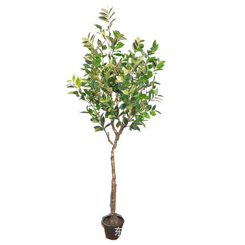 高仿真球形月桂树盆栽室内家居桂花树摆件假绿植盆栽造景拍摄道具