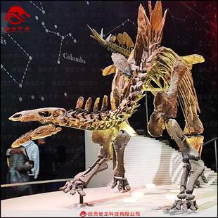 仿真剑龙化石骨架大型恐龙玻璃钢骨架化石动物骨骼化石复原展品