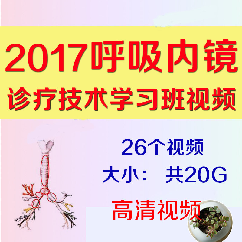 诊疗技术学习视频课程ct影像内镜