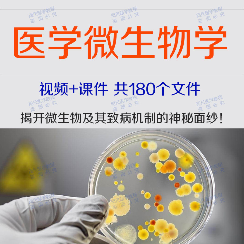 医学视频课件冠状病毒课程