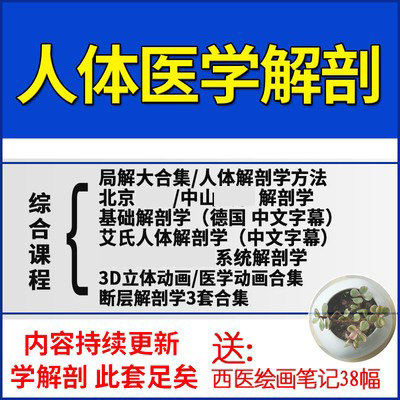 人体视频解剖德国基础艾氏学习