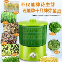 多功能豆芽机豆牙菜育苗盘恒温育苗盆全自动全自动机新款黄菜加厚