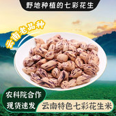 创意云南菜 餐饮用生花生仁 云南七彩花生米散装 七彩野地花生米