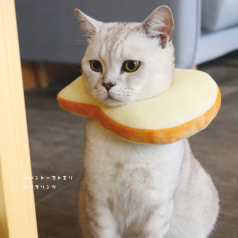 ins牛油果伊丽莎白圈网红拍照猫项圈绝育头套防舔耻辱圈猫项圈