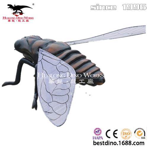 大型仿真昆虫模型制作工厂大号禅知了蜻蜓蝴蝶模型组合.