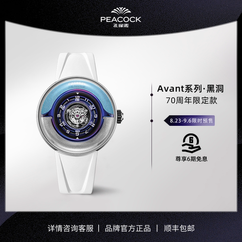 黑洞概念 中置陀飞轮