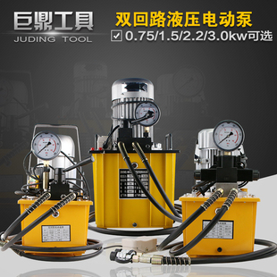 油压机双向大功率超高压油泵 双回路液压电动泵 双作用电磁阀泵站