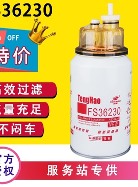 FS36230适用FS19816 FS19922东风康明斯5300516柴油滤芯91FG206