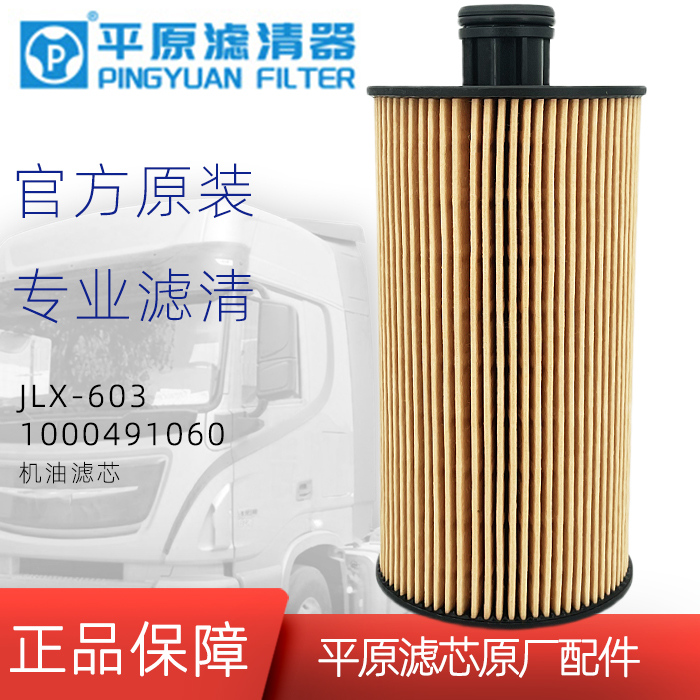 1000491060机油滤芯平原原厂