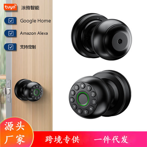 球形密码锁涂鸦app智能锁球锁木门指纹锁房间门锁matter门锁
