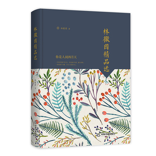 【中国书籍出版社】林徽因精品选 文学素材品读经典作品小说叙事诗歌诗词格律诗作畅销书名著入门中小学生课外读物阅读技巧经典正