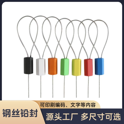 一次性钢丝封签水电表封签锁扣
