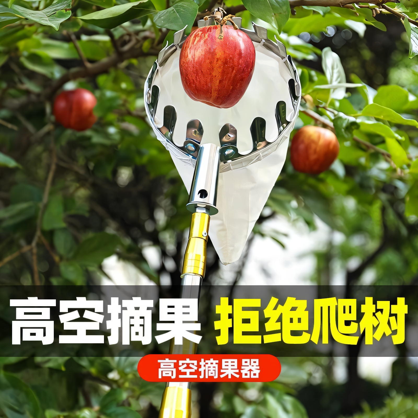 【德国进口】可伸缩摘果神器